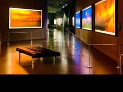 -罗红摄影艺术馆