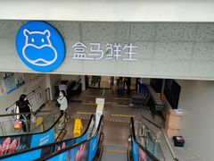 -盒马鲜生(双清路店)