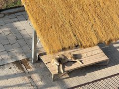 -青藏高原野生动物园