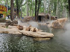 -北京野生动物园