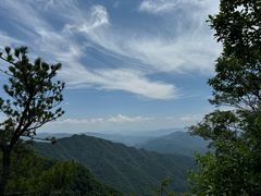 -王顺山国家森林公园