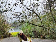 -桤木河湿地公园