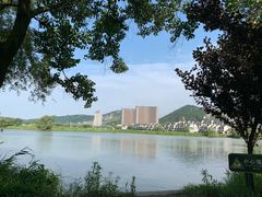 -长兴太湖图影湿地文化园