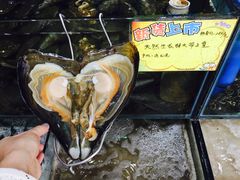 -蚝专家(北滘店)