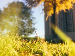 -花溪公园