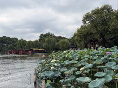 -西湖游船