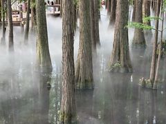 -东湖落雁景区