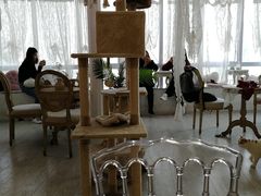 大堂-共舞时光猫咖·狗咖(新街口店)