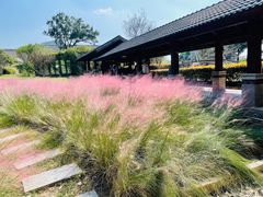 -龙吟九品(青龙山庄店)