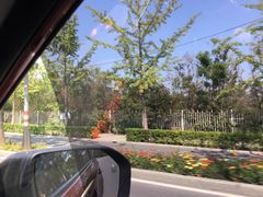 -雅逸居海鲜小厨