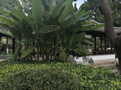 -月湖公园