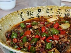 -张鲫鱼家常菜