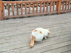 -终南山南五台景区