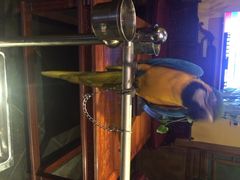 iphone_upload_pic-那家小馆•北京菜•烤鸭(中关村店)