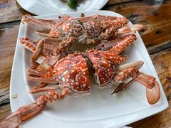 -蓝湾碧波·老字号·疍家非遗海上餐厅