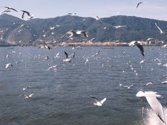 -海埂大坝