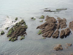 景点-大连金石滩滨海国家地质公园