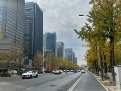 -合景·悠方(成都店)