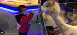 -未来动物城动物主题公园(大悦城店)