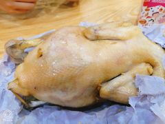 -吉英盐焗鸡(文中路店)
