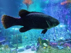 -沈阳海洋探索中心