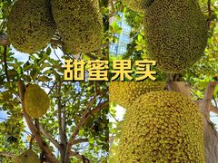 -灵玲国际马戏城