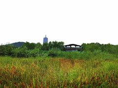 -永定河休闲森林公园