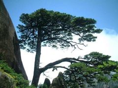 -黄山风景区