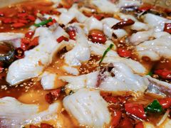 -蜀都丰 正宗水煮鱼(建德天城店)