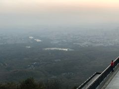 -紫金山山顶公园