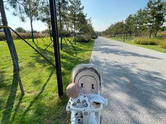 -汉长安城未央宫国家考古遗址公园