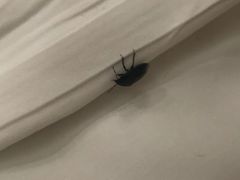 -帐篷客·溪龙茶谷度假酒店