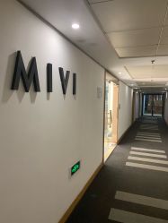 -MIVI·纹眉半永久野生眉