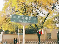 -三里屯东五街银杏大道