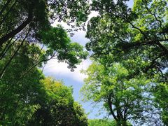 -法云古村