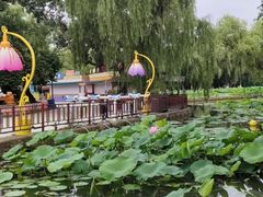 -北陵公园