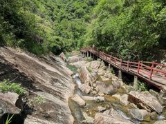 -广州白江湖森林公园