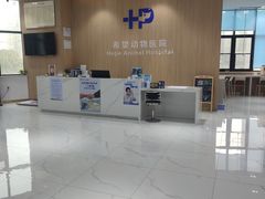 -希望动物医院(汉阳院)