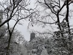 -都江堰景区