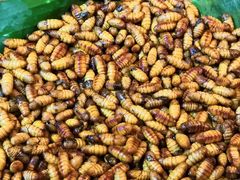 -79号渔船海鲜饭店(华强北店)