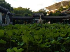 -珠海圆明新园