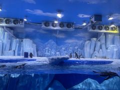 -石家庄市动物园