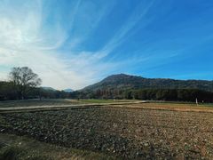 -八卦田遗址公园