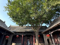-马氏庄园