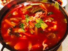 -陈麻婆豆腐总店