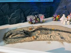 -上海中国航海博物馆