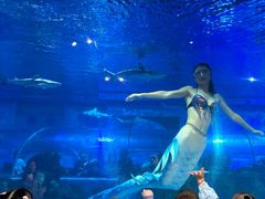 -成都浩海立方海洋公园