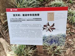 -中国科学院西双版纳热带植物园