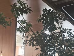 -gaga(深圳福田星河COCO Park店)