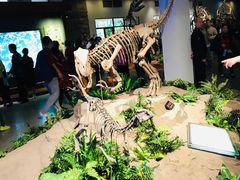 -自贡恐龙博物馆